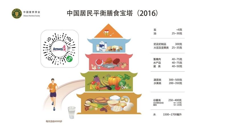 代餐定制品牌报价单