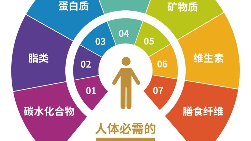 进口男士复合维生素品牌对比